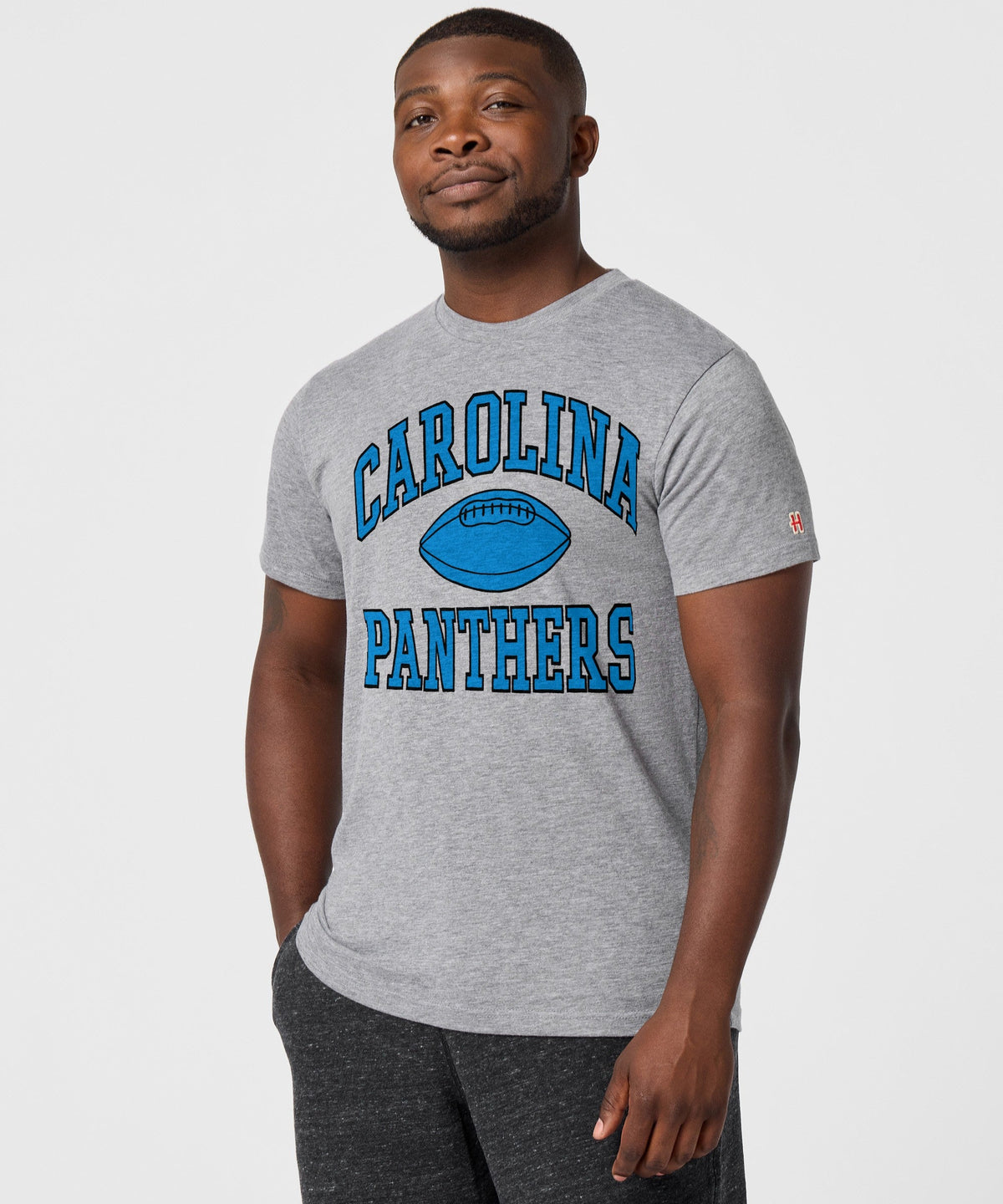 Carolina Panthers Gridiron product image 3