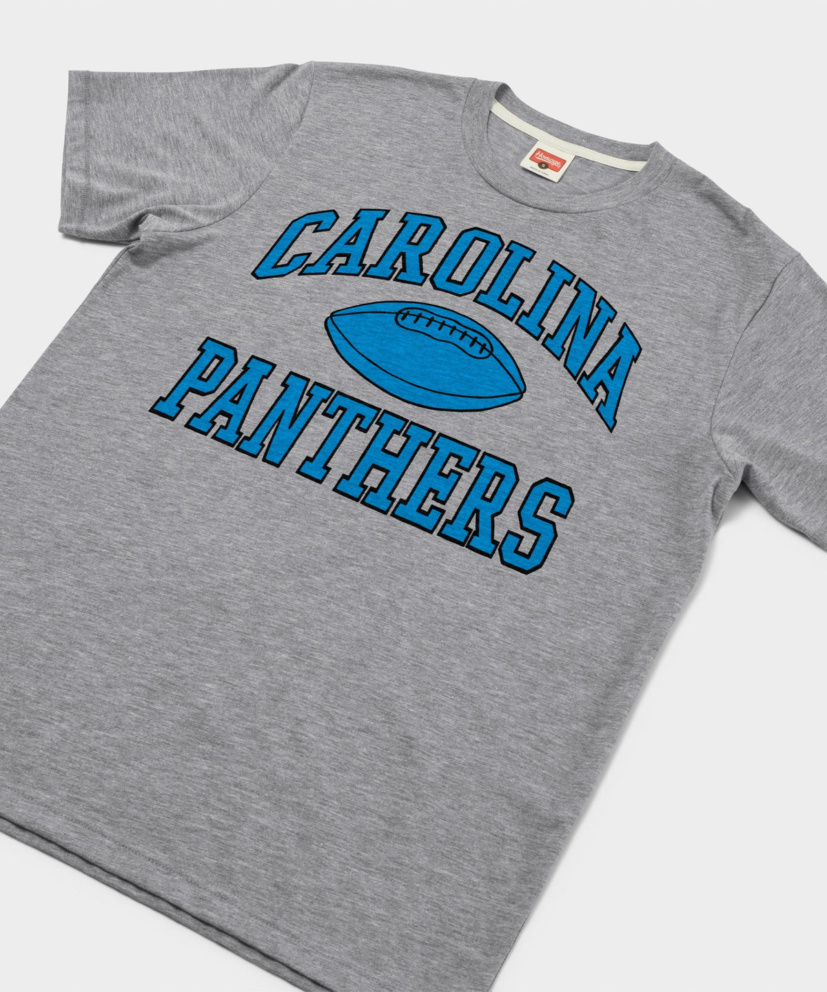 Carolina Panthers Gridiron product image 2