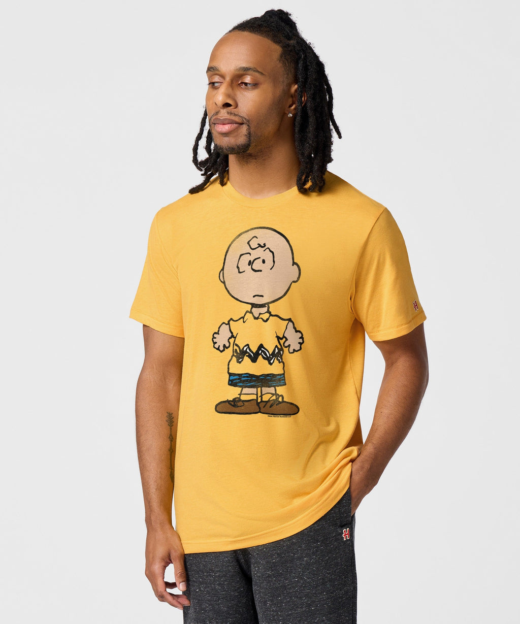 Peanuts Charlie Brown Character product image 3