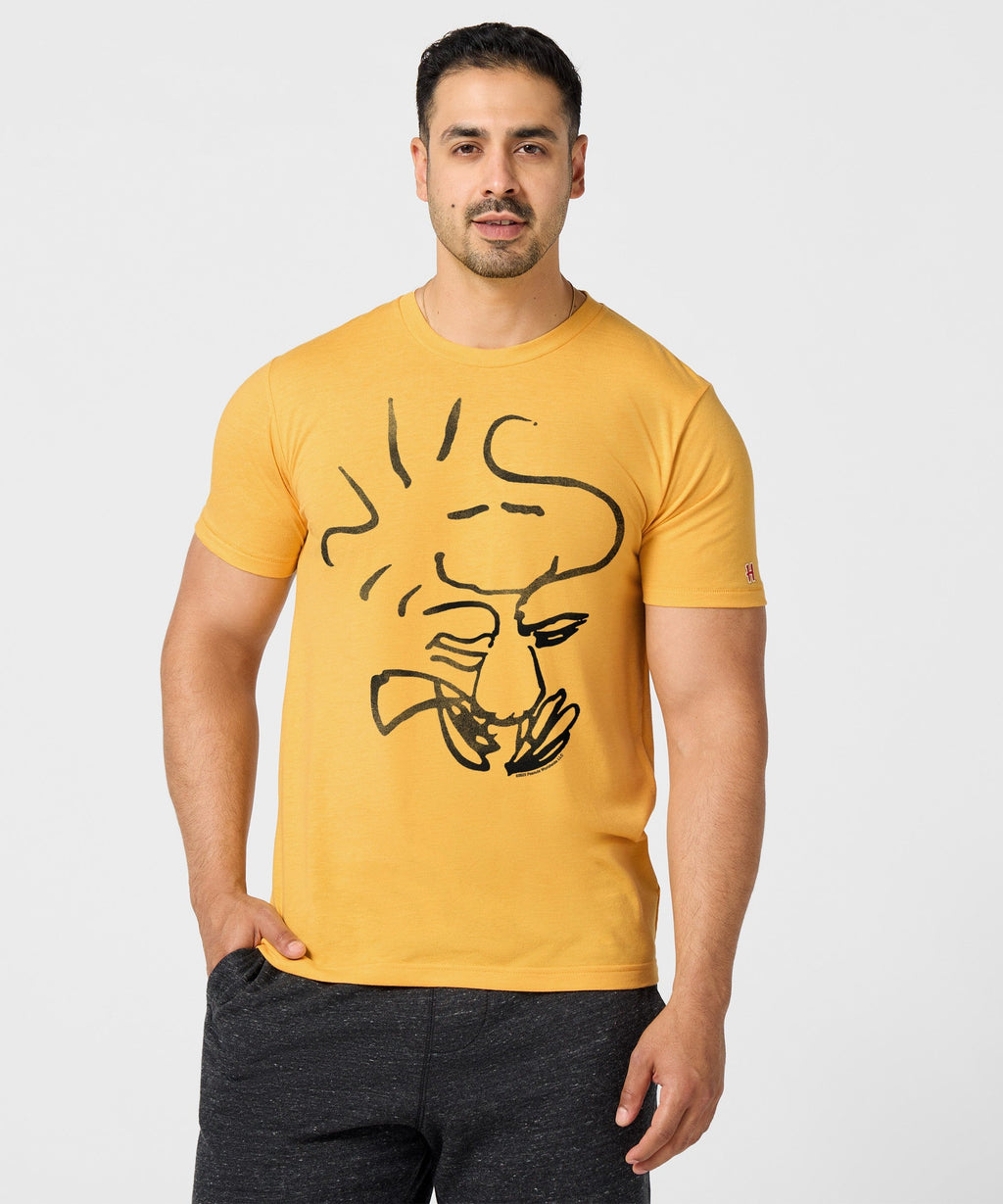 Peanuts Woodstock Character product image 3