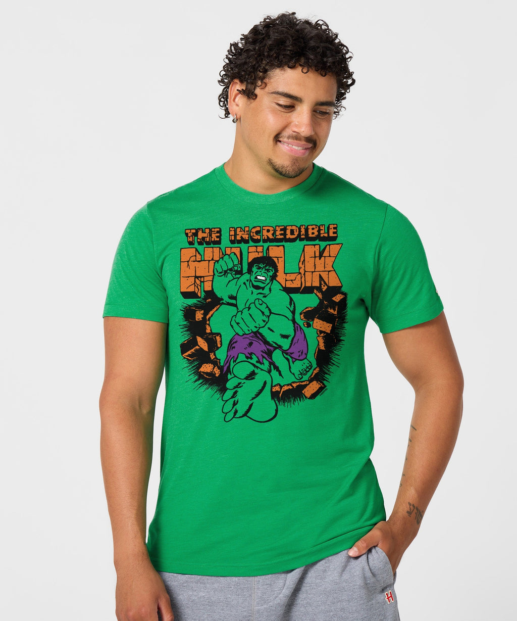 The Incredible Hulk product image 3