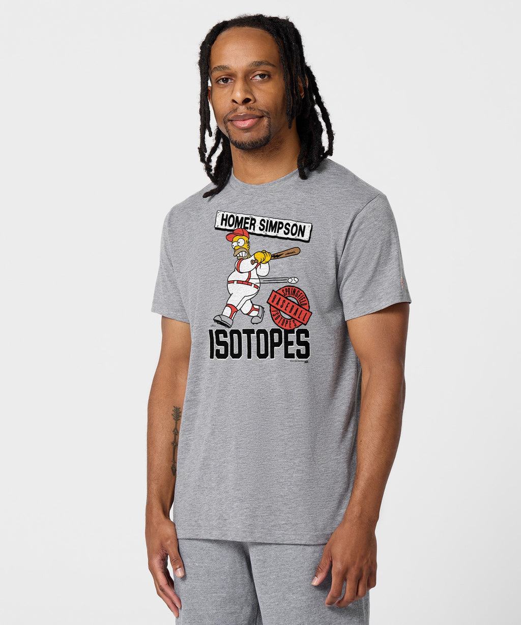 The Simpsons Springfield Isotopes product image 3