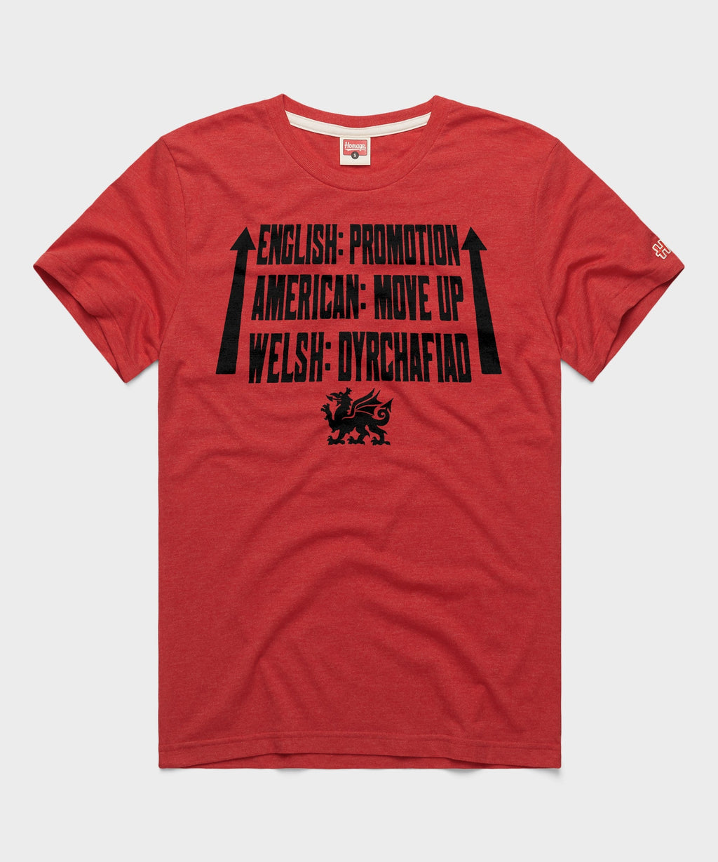 Wrexham AFC Promotion product image 1