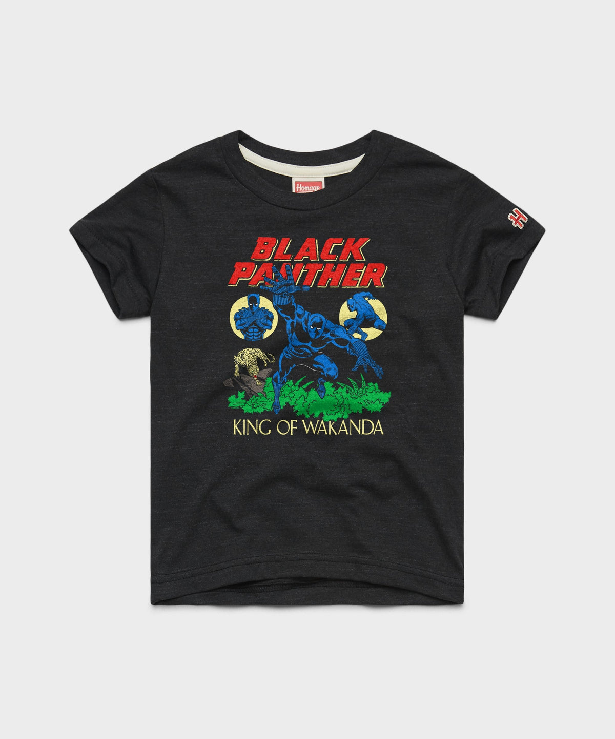 Youth Black Panther The King Of Wakanda product image 1