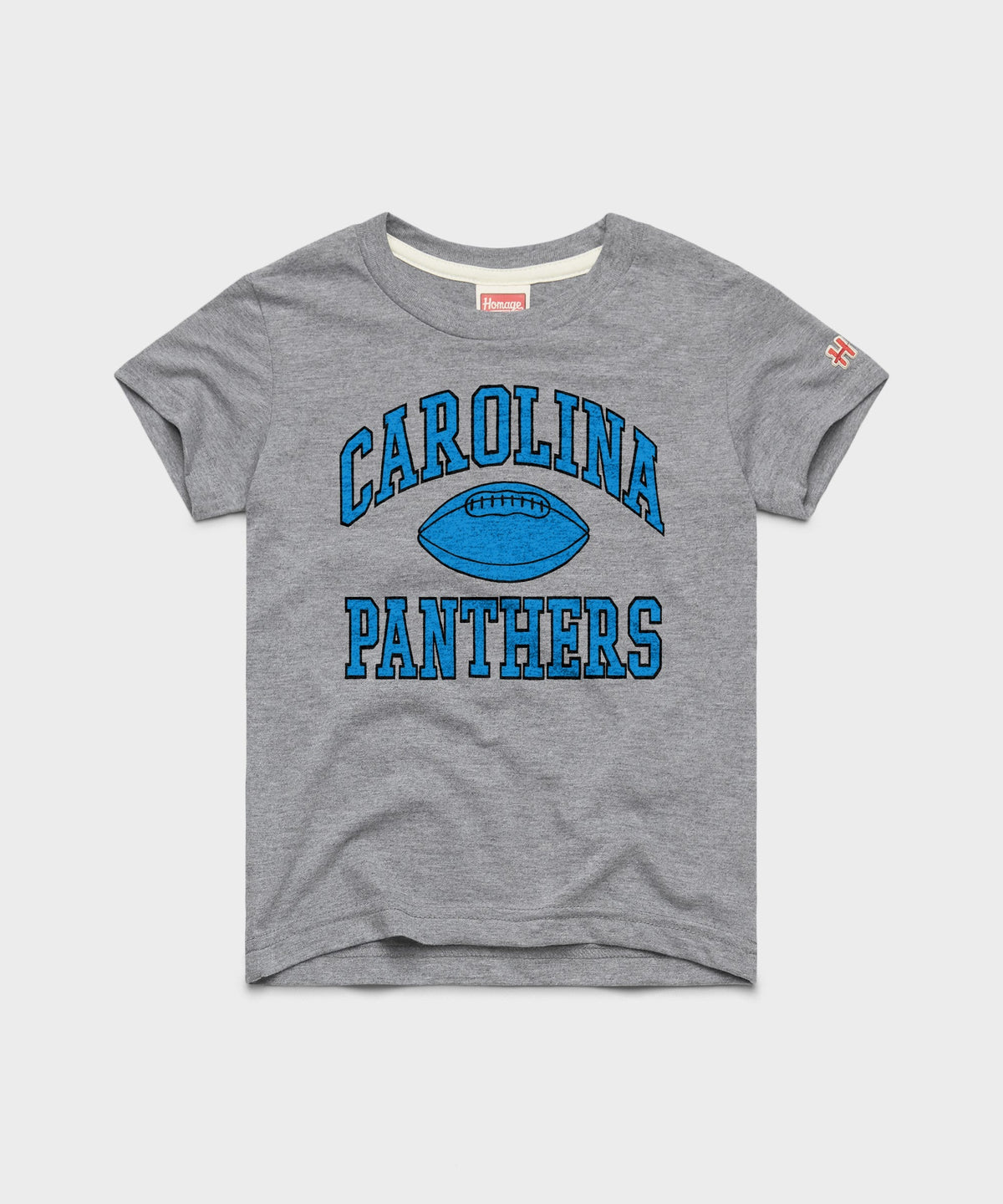 Youth Carolina Panthers Gridiron product image 1