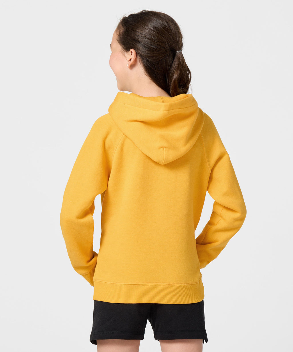 Youth Indiana Pacers Logo Hoodie product image 8